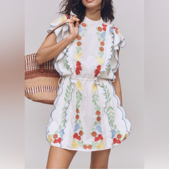 Farm Rio Embroidered Ruffle Mini Tunic Dress - Picture 2 of 15